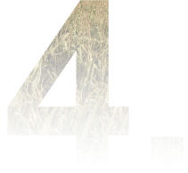 4 new | Agrovýkup, a.s.